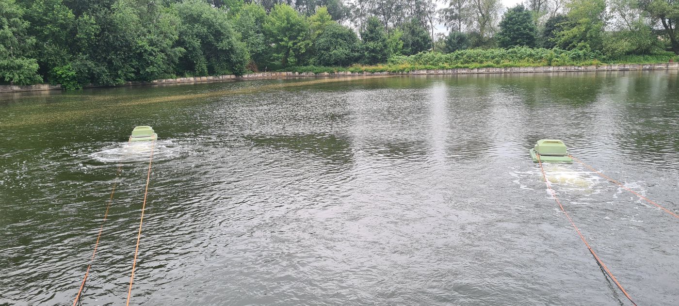 Blaualgen im Naturbad. Sauerstoffpumpen im Einsatz.