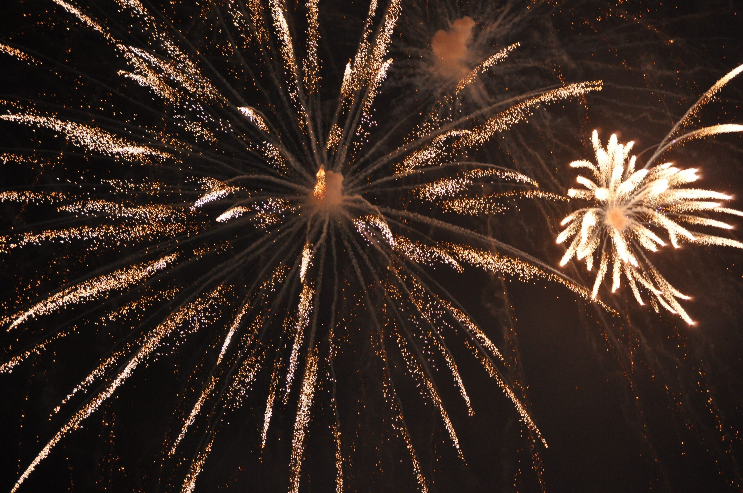 Sylvesterparty in Grimmen Feuerwerk