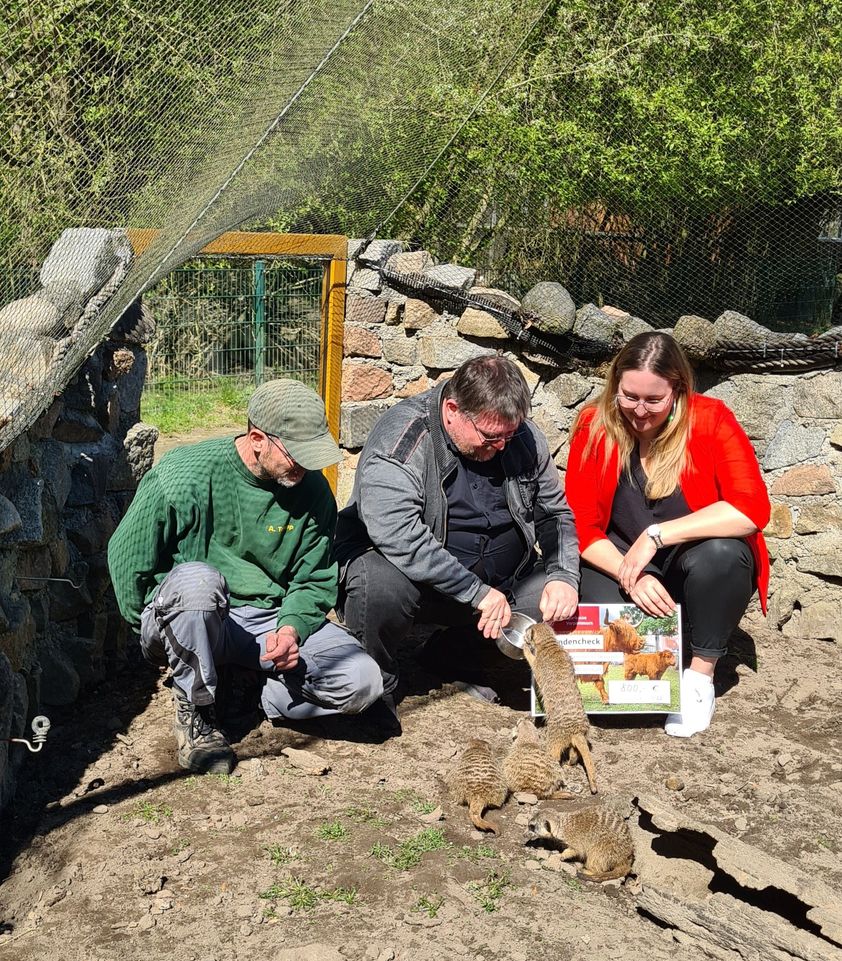 Lina Kaden von der Sparkasse und Karsten Richter von der Stadtbäckerei füttern die Erdmännchen.