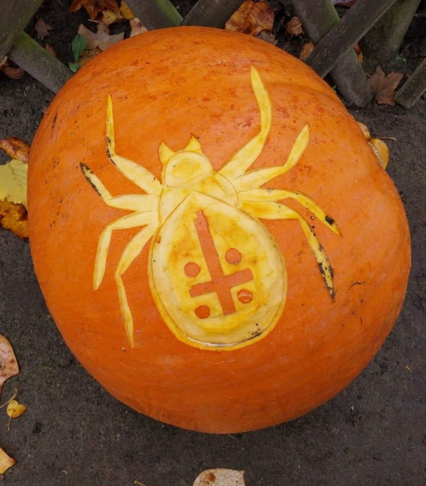 Kürbis, auf dem eine Spinne geschnitzt wurde