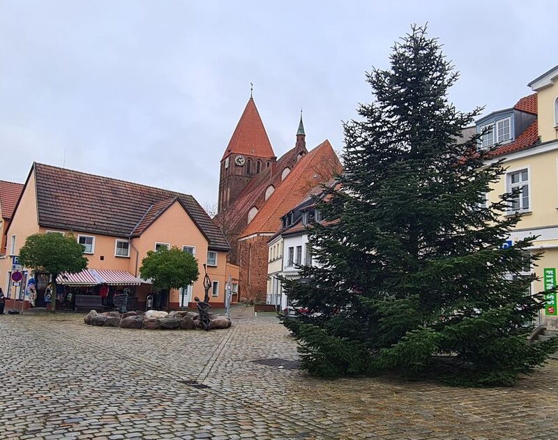 Tanne steht auf dem Marktplatz.