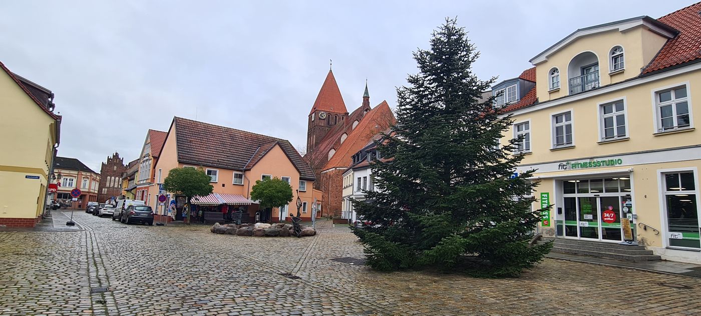 Tanne steht auf dem Marktplatz.