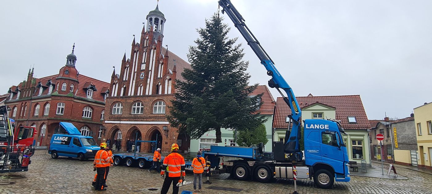 Nordmanntanne wird per Kran vom Tieflader abgeladen.