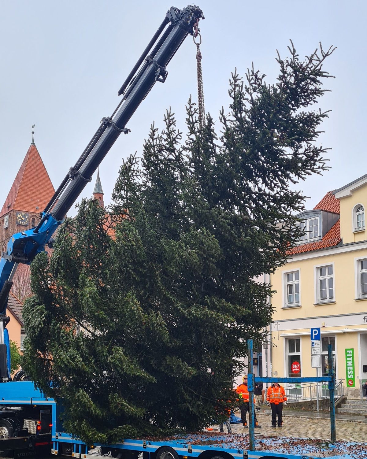 Die Nordmanntanne hängt am Kranhaken.